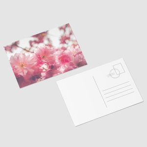 Postcard A6 #Flowers